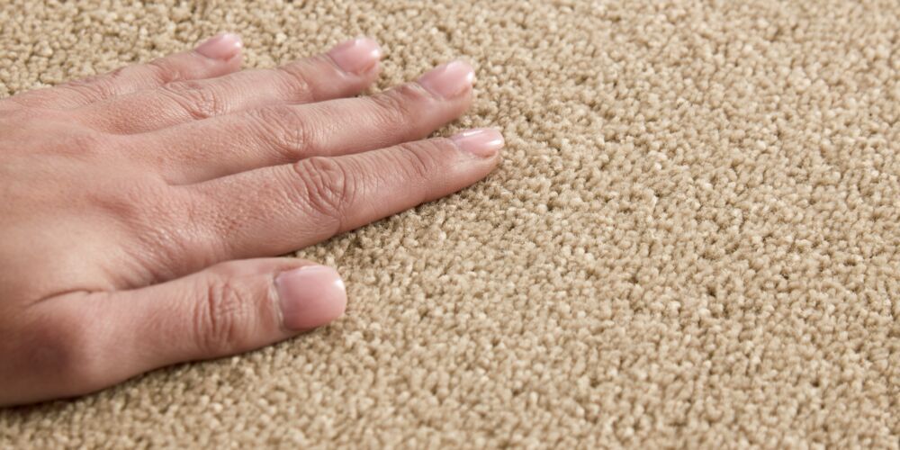 Tapi’s Carpet of the Year 2024 & 2025